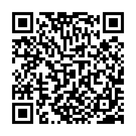 QR code for ZYL597