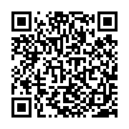 QR code for ZYL693
