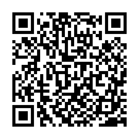 QR code for ZYN063