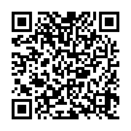 QR code for ZYN138