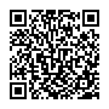 QR code for ZYN306