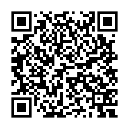QR code for ZYR173