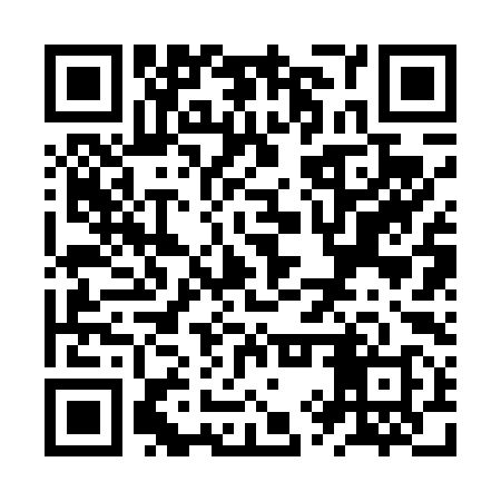 QR code for ZYR498