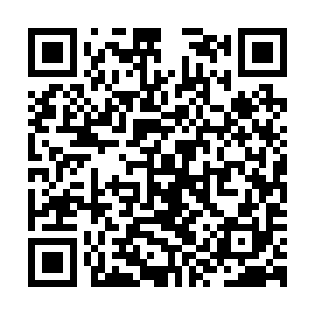 QR code for ZYU290