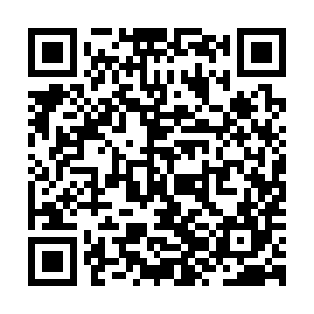 QR code for ZZA384