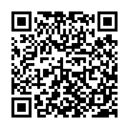 QR code for ZZD607