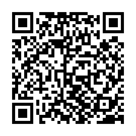 QR code for ZZG538