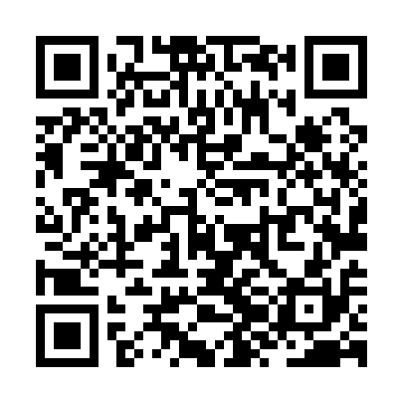 QR code for ZZL110
