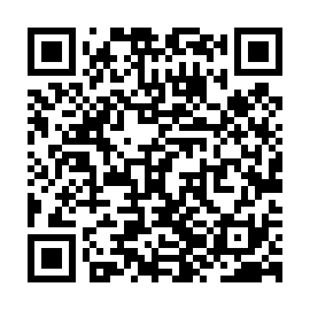 QR code for ZZL431