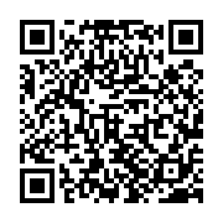 QR code for ZZL510