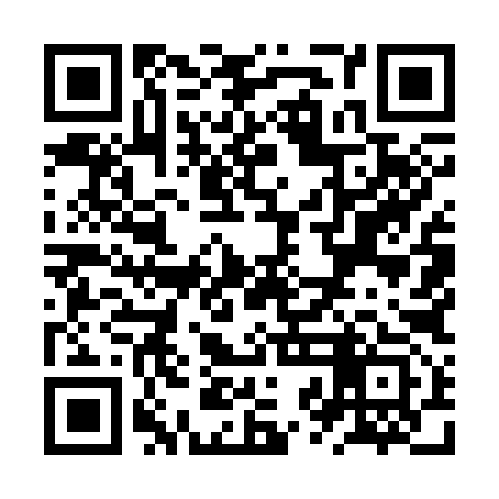QR code for ZZM393
