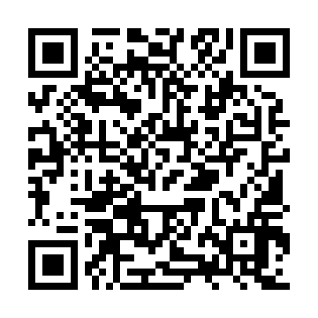 QR code for ZZM816