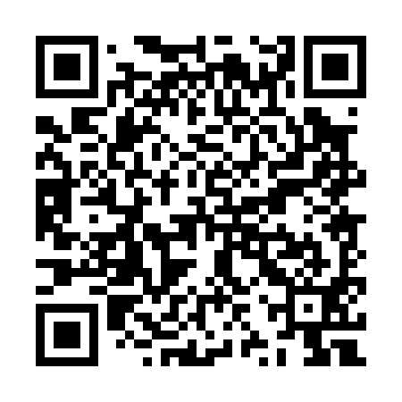 QR code for ZZP091