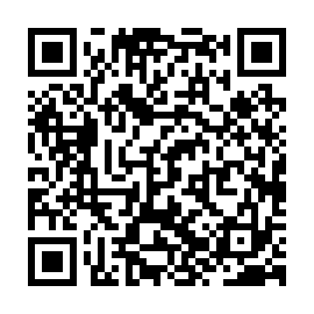 QR code for ZZP233