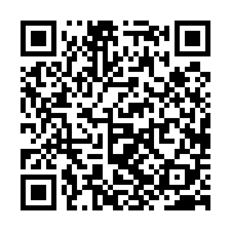 QR code for ZZP509