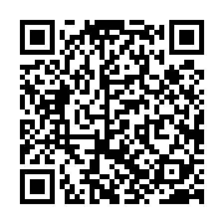 QR code for ZZP529