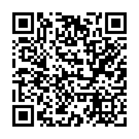 QR code for ZZT369