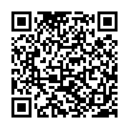 QR code for ZZT513
