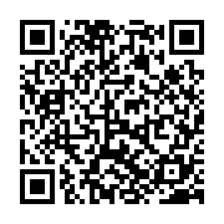 QR code for ZZW375