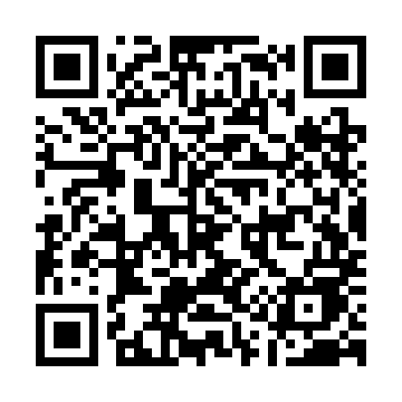 QR code for A13SME