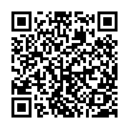 QR code for A38PMZ