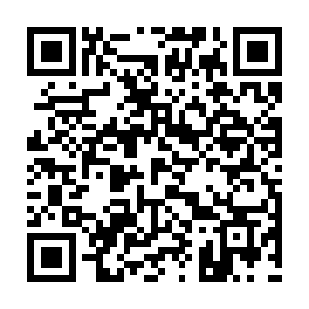 QR code for A95SES