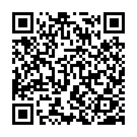 QR code for AIV23Z