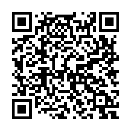 QR code for ALU93D