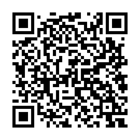 QR code for ALV12M