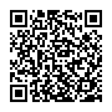 QR code for ANG13L