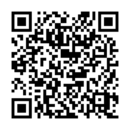 QR code for APJ93X