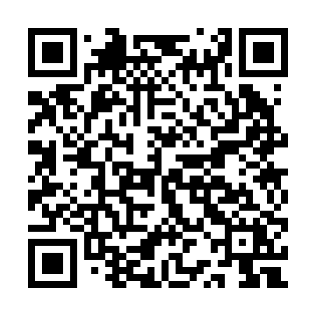 QR code for ARC20X