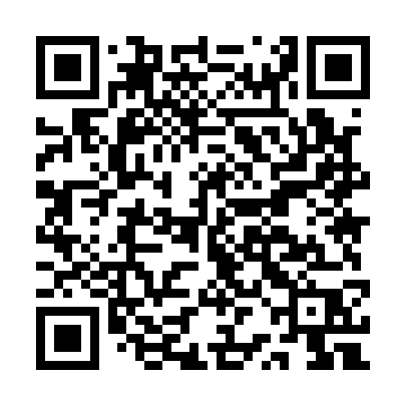 QR code for ARM17P