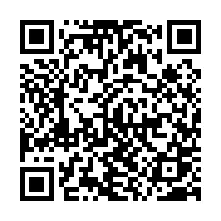 QR code for AYY10S