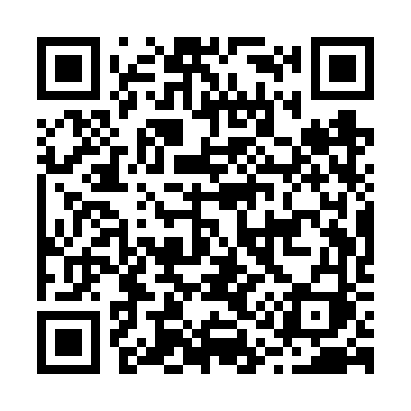 QR code for B11VVI