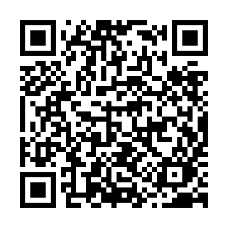 QR code for B11ZIO