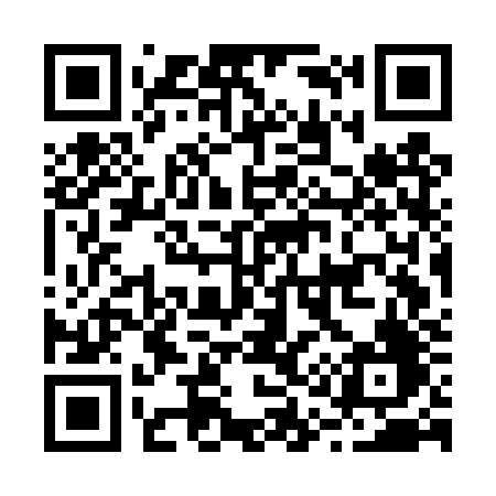 QR code for B17DZF