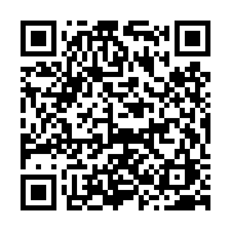 QR code for B29DSC