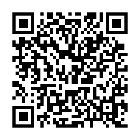 QR code for B46CIO