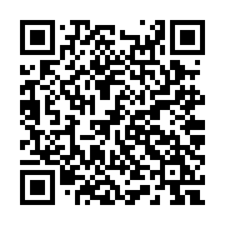 QR code for B46PDM