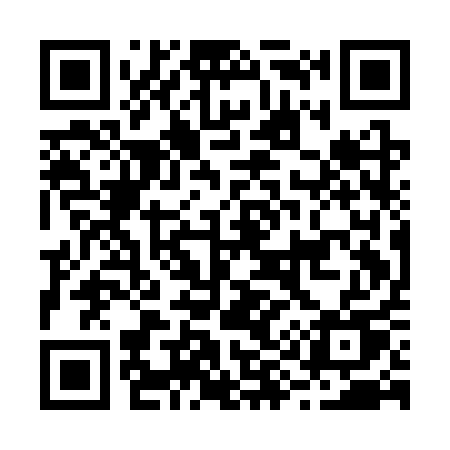 QR code for B91CQU