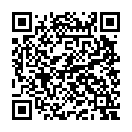 QR code for BAG01Y