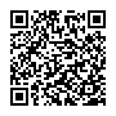 QR code for BAO29T