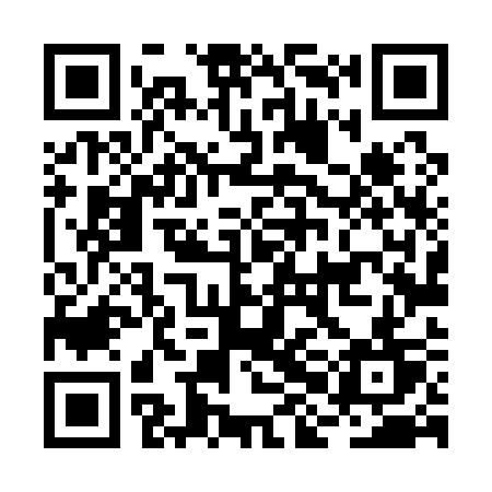 QR code for BHL13T