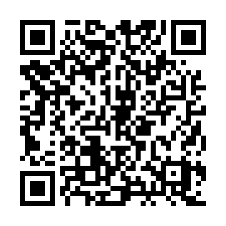 QR code for BIB53Y