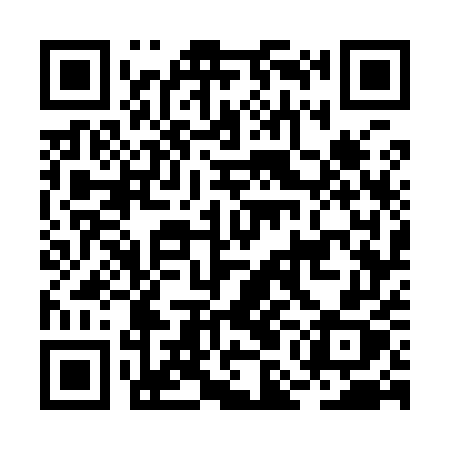 QR code for BMG95X