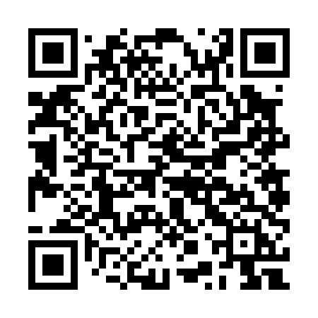 QR code for BPV04H