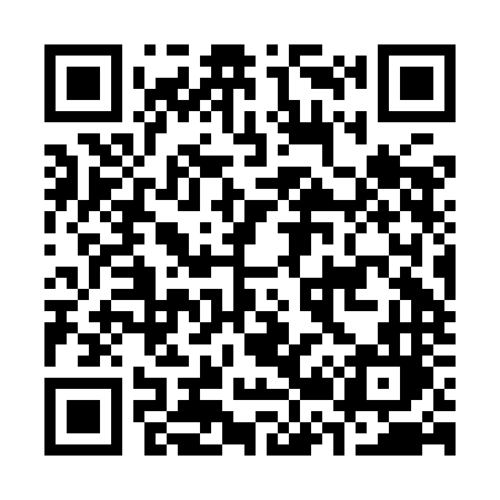 QR code for C22INL
