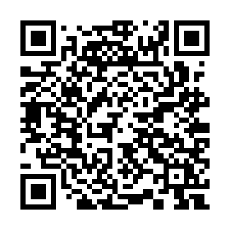 QR code for C22QLX