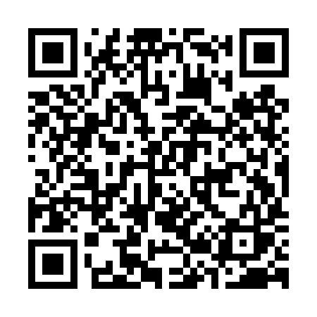 QR code for C29DYS